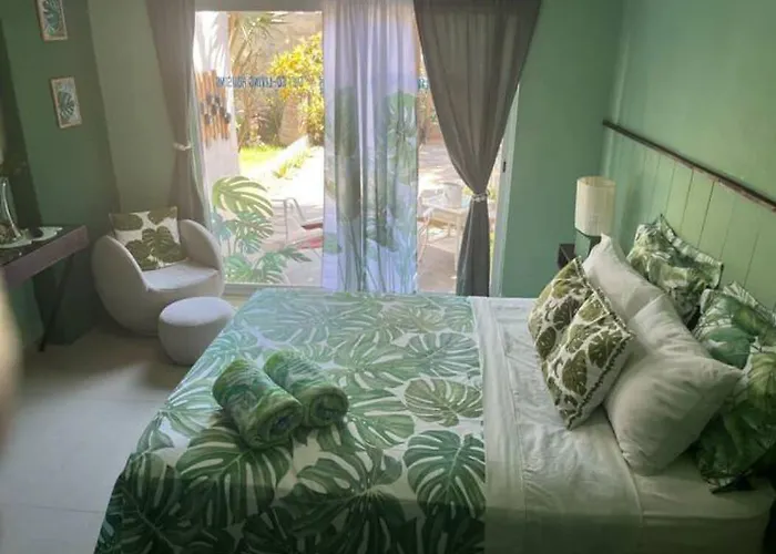 Dici Coliving Housing The Friends Hostel Cabo San Lucas